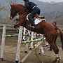 DSC_0479 - Copia.JPG